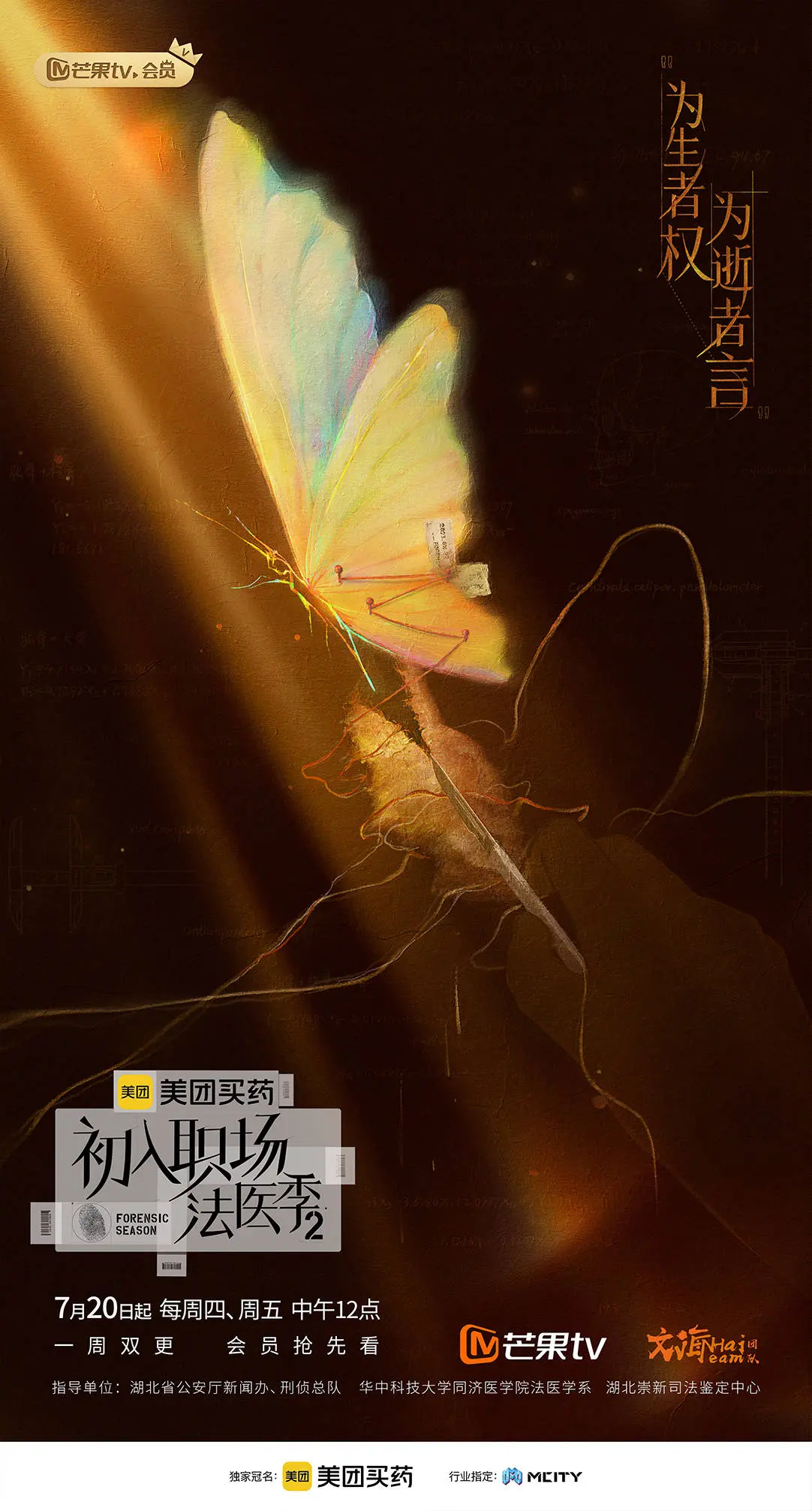 《初入职场·法医季2》：解剖刀下的真相，职场新人成长之路
