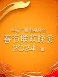 2024年中央广播电视总台春节联欢晚会：璀璨舞台与文化盛宴的完美融合，让我们一起感受传统与现代的碰撞